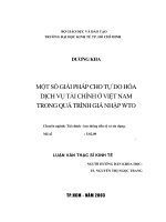 Một số giải pháp cho tự do hóa dịch vụ tài chính ở việt nam trong quá trình gia nhập WTO 