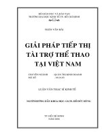 Giải pháp tiếp thị tài trợ thể thao tại việt nam 