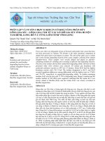 phân lập và tuyển chọn vi khuẩn có khả năng phân hủy lông gia súclông gia cầm từ các lò mổ gia súc ở ba huyện tam bình, long hồ và vũng liêm, tỉnh vĩnh long