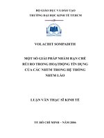 Một số giải pháp nhằm hạn chế rủi ro trong hoạt động tín dụng của các NHTM trong hệ thống NHTM lào 