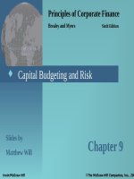 Principles of cororate finance 6th brealey myers chapter 09 