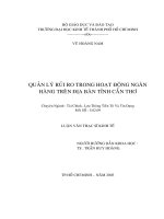 Quản lý rủi ro trong hoạt động ngân hàng trên địa bàn tỉnh cần thơ 