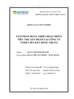 Luận Văn GIẢI PHÁP HOÀN THIỆN HOẠT ĐỘNG TIÊU THỤ SẢN PHẨM TẠI CÔNG TY TNHH LIÊN KẾT HỒNG TRUNG