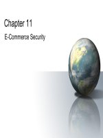 Electric commerce chapter 11 e commerce security 