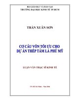 Cơ cấu vốn tối ưu cho dự án thép tấm lá phú mỹ   trần xuân sơn 