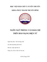 Tiểu luận ngôn ngữ phỏng vấn báo chí trên báo mạng điện tử