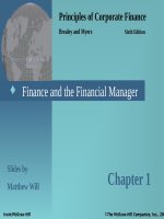 Principles of cororate finance 6th brealey myers chapter 01 