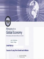 Managing in a global economy by john marthinsen babson MBA chapter 18 