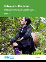 Safeguards Roadmap for Vietnam’s National REDD+ Action Programme: a contribution to a countryled safeguards approach