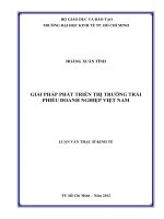 Giải pháp phát triển thị trường trái phiếu doanh nghiệp việt nam luận văn thạc sĩ 