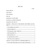 Các yếu tố tác động đến giá trị cảm nhận của khách hàng đối với dịch vụ viễn thông di động tại TP  hồ chí minh 