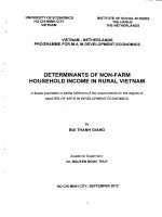 Determinants of non farm household in come in rural vietnam 