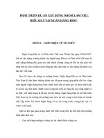 Phát triển dự án xây dựng nhóm làm việc hiệu quả tại ngân hàng BIDV 