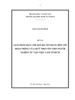 Giải pháp hạn chế rủi ro tín dụng đối với hoạt động của quỹ trợ vốn cho người nghèo tự tạo việc làm thành phố hồ chí minh