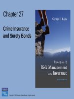 Principles of risk management and insurance 10th by george rejda chapter 27 