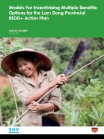 Models For Incentivising Multiple Benefits: Options for the Lam Dong Provincial REDD+ Action Plan