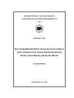 Relationships between vietnams stock prices and united statess stock prices, exchange rates, gold prices, crude oil prices 
