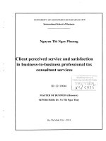 Client perceived service and satisfaction in business to business professional tax consultant services
