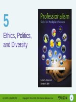 Professionalism skill for workplace success 4e by anderson bolt chapter05 