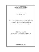 Màu sắc văn hóa trong tiểu thuyết ma văn kháng thời kì đổi mới 
