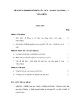 Đề xuất giải pháp đổi mới cấu trúc quản lý tại công ty VINAVICO 