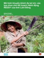 Mô hình khuyến khích đa lợi ích: các lựa chọn cho Kế hoạch Hành động REDD+ của tỉnh Lâm Đồng