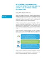 Nuturing and challenging private companies for sustained BUSINESS AND impact, a case of VIETNAM BUSINESS CHALLENGE FUND