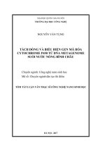 Tách dòng và biểu hiện gen mã hóa cytochrome p450 từ DNA metagenome suối nước nóng bình châu (tt) 