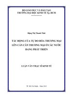 Tác động của tự do hóa thương mại lên cán cân thương mại ở các nước đang phát triển 