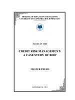 Credit risk management  a case study of BIDV