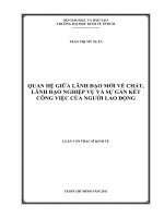 Quan hệ giữa lãnh đạo mới về chất, lãnh đạo nghiệp vụ và sự gắn kết công việc của người lao động 