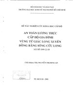 An toàn lương thực cấp hộ gia đình vùng tứ giác Long Xuyên đồng bằng sông Cửu Long
