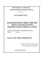 Giải pháp phát triển thẻ tín dụng tại ngân hàng thương mại cổ phần á châu 