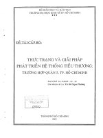 Thực trạng và giải pháp phát triển hệ thống tiểu thương _ Trường hợp Quận 5, TP.HCM (Bảng tóm tắt)