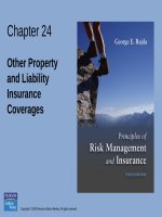 Principles of risk management and insurance 10th by george rejda chapter 24 