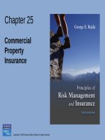 Principles of risk management and insurance 10th by george rejda chapter 25 