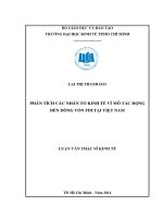 Phân tích các nhân tố kinh tế vĩ mô tác động đến dòng vốn tại việt nam 