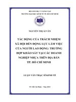 Tác động của trách nhiệm xã hội đến động lực làm việc của người lao động  trường hợp khảo sát tại các doanh nghiệp nhựa trên địa bàn TPHCM