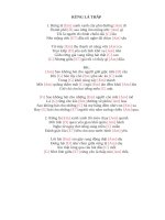 Lời bài hát hợp âm guitar RỪNG LÁ THẤP