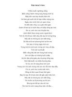 Lời bài hát hợp âm guitar TÌNH NHẠT PHAI