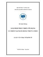 Giải pháp phát triển tín dụng cá nhân tại ngân hàng TMCP á châu 
