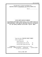 SKKN Giải pháp giúp học sinh nâng cao ý thức bảo vệ môi trường, “xây dựng trường Trung cấp Kinh tế  Kỹ thuật Đồng Nai xanh – sạch – đẹp”