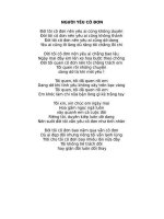 Lời bài hát hợp âm guitar Người yêu cô đơn