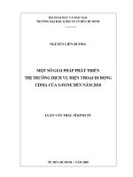 Một số giải pháp phát triển thị trường dịch vụ điện thoại di động CDMA của s fone đến năm 2018 
