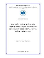 Các nhân tố ảnh hưởng đến hiệu quả hoạt động kinh doanh của doanh nghiệp nhỏ và vừa tại thành phố cần thơ