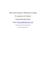 Risks and consumers reluctance to adopt e commerce in vietnam 