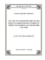 Các yếu tố ảnh hưởng đến sự hài lòng của khách hàng về dịch vụ thông tin di động tại TP  cần thơ 