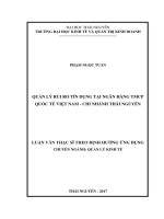 Quản lý rủi ro tín dụng tại Ngân hàng TMCP Quốc tế Việt Nam, chi nhánh Thái Nguyên (Lv thạc sĩ)