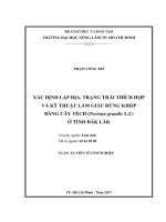 Xác định lập địa, trạng thái thích hợp và kỹ thuật làm giàu rừng khộp bằng cây tếch (tectona grandis l f) ở dak lak