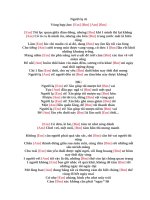 Lời bài hát hợp âm guitar Người lạ ơi